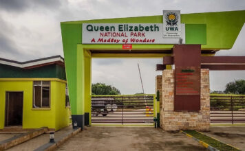 Queen Elizabeth national park Queen Elizabeth National Park is indeed one of the top wildlife viewing parks in Africa. Located in southwestern Uganda,